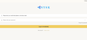 NYSKapp Review